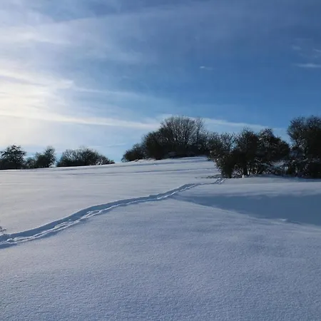 Hébergement de vacances Ferienhaeuser 