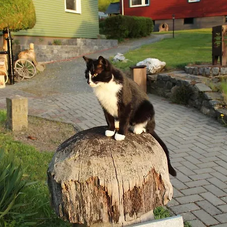 Ferienhaeuser 